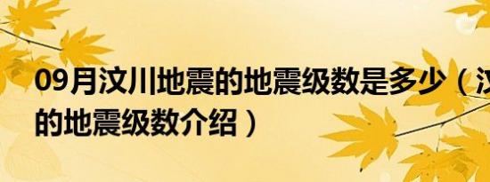 09月汶川地震的地震级数是多少（汶川地震的地震级数介绍）