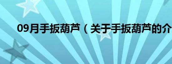 09月手扳葫芦（关于手扳葫芦的介绍）