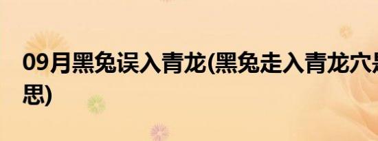 09月黑兔误入青龙(黑兔走入青龙穴是什么意思)