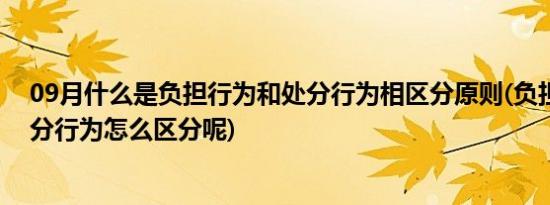 09月什么是负担行为和处分行为相区分原则(负担行为与处分行为怎么区分呢)