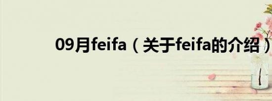 09月feifa（关于feifa的介绍）