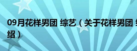 09月花样男团 综艺（关于花样男团 综艺的介绍）