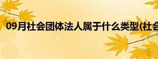 09月社会团体法人属于什么类型(社会团体)