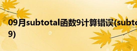 09月subtotal函数9计算错误(subtotal函数9)