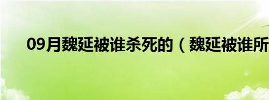 09月魏延被谁杀死的（魏延被谁所杀）