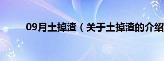 09月土掉渣（关于土掉渣的介绍）