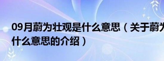 09月蔚为壮观是什么意思（关于蔚为壮观是什么意思的介绍）