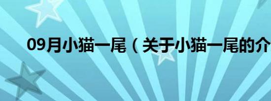 09月小猫一尾（关于小猫一尾的介绍）