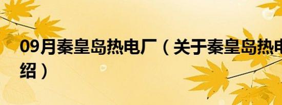 09月秦皇岛热电厂（关于秦皇岛热电厂的介绍）