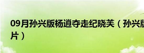 09月孙兴版杨逍夺走纪晓芙（孙兴版杨逍图片）