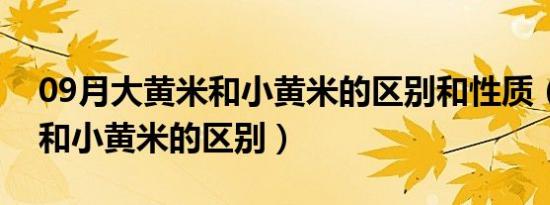 09月大黄米和小黄米的区别和性质（大黄米和小黄米的区别）