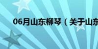 06月山东柳琴（关于山东柳琴的介绍）