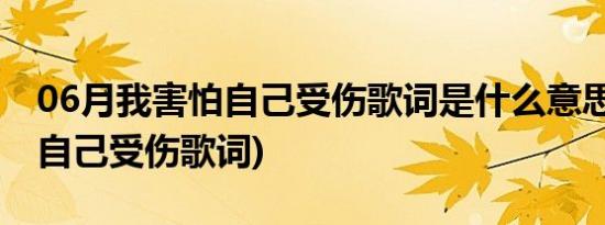 06月我害怕自己受伤歌词是什么意思(我害怕自己受伤歌词)