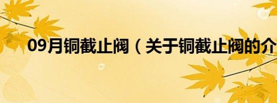 09月铜截止阀（关于铜截止阀的介绍）