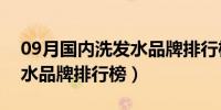 09月国内洗发水品牌排行榜最新（国内洗发水品牌排行榜）