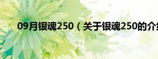 09月银魂250（关于银魂250的介绍）