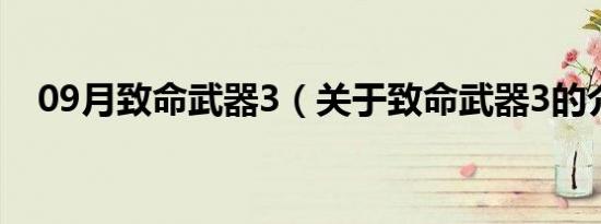 09月致命武器3（关于致命武器3的介绍）