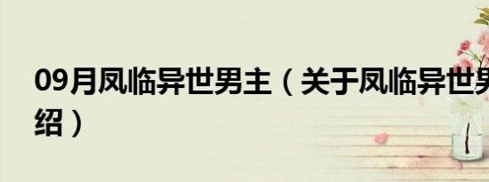 09月凤临异世男主（关于凤临异世男主的介绍）