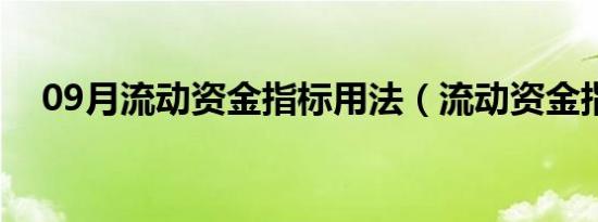 09月流动资金指标用法（流动资金指标）