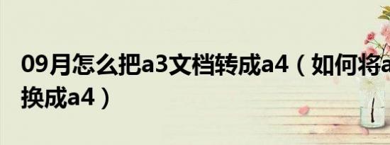 09月怎么把a3文档转成a4（如何将a3文档转换成a4）