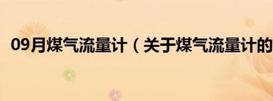 09月煤气流量计（关于煤气流量计的介绍）