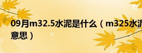 09月m32.5水泥是什么（m325水泥是什么意思）