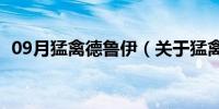 09月猛禽德鲁伊（关于猛禽德鲁伊的介绍）