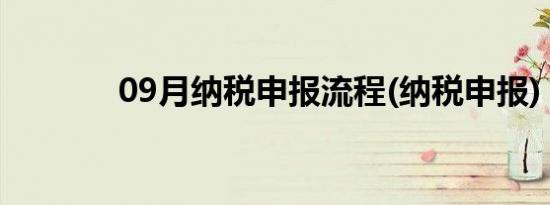 09月纳税申报流程(纳税申报)