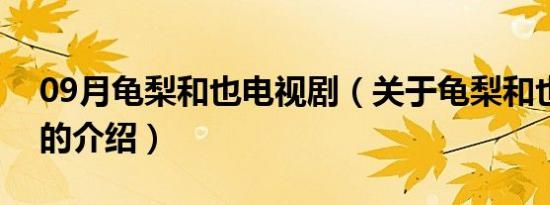 09月龟梨和也电视剧（关于龟梨和也电视剧的介绍）