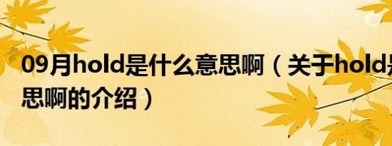 09月hold是什么意思啊（关于hold是什么意思啊的介绍）