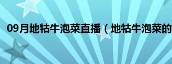 09月地牯牛泡菜直播（地牯牛泡菜的做法）