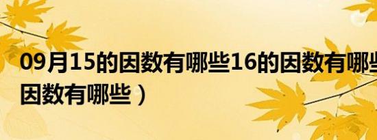 09月15的因数有哪些16的因数有哪些（15的因数有哪些）