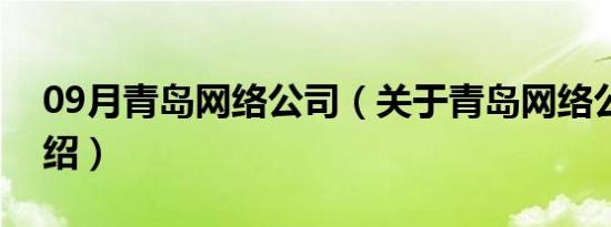 09月青岛网络公司（关于青岛网络公司的介绍）