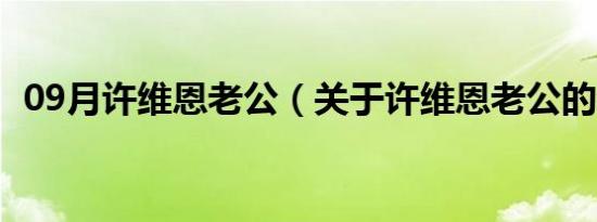 09月许维恩老公（关于许维恩老公的介绍）