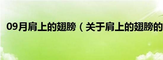 09月肩上的翅膀（关于肩上的翅膀的介绍）