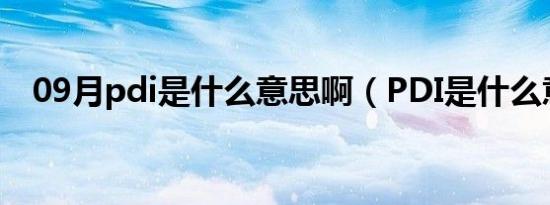 09月pdi是什么意思啊（PDI是什么意思）