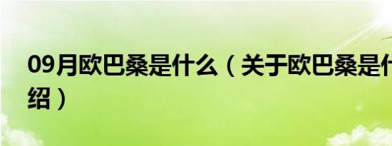 09月欧巴桑是什么（关于欧巴桑是什么的介绍）