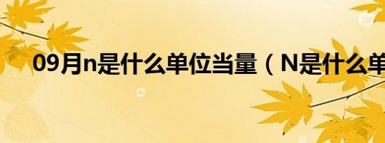 09月n是什么单位当量（N是什么单位）