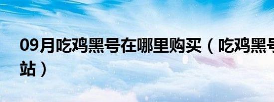 09月吃鸡黑号在哪里购买（吃鸡黑号购买网站）