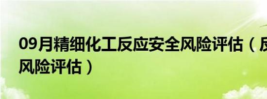 09月精细化工反应安全风险评估（反应安全风险评估）