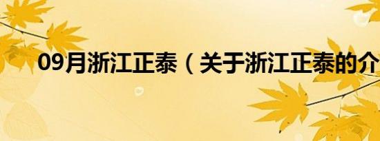 09月浙江正泰（关于浙江正泰的介绍）