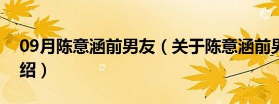 09月陈意涵前男友（关于陈意涵前男友的介绍）