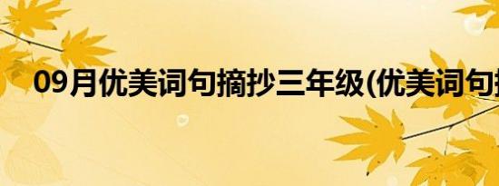 09月优美词句摘抄三年级(优美词句摘抄)