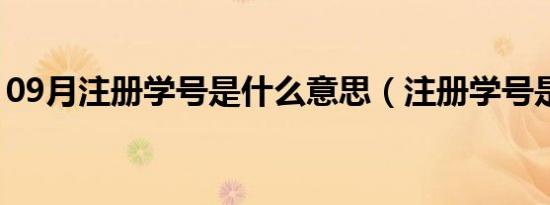 09月注册学号是什么意思（注册学号是什么）