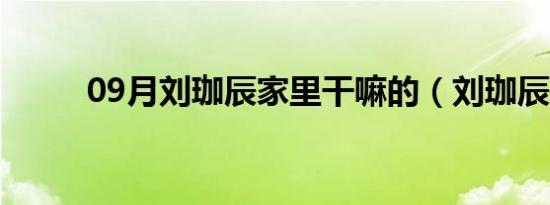 09月刘珈辰家里干嘛的（刘珈辰）