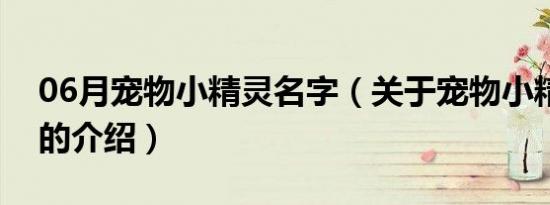 06月宠物小精灵名字（关于宠物小精灵名字的介绍）