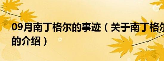 09月南丁格尔的事迹（关于南丁格尔的事迹的介绍）