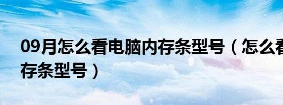 09月怎么看电脑内存条型号（怎么看电脑内存条型号）