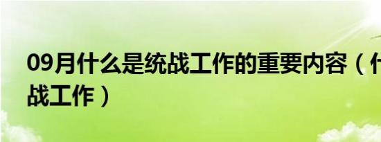 09月什么是统战工作的重要内容（什么是统战工作）