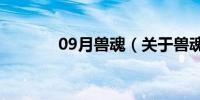 09月兽魂（关于兽魂的介绍）